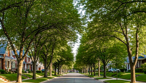 Westport Real Estate Market Report | Current Trends & Year-Over-Year Growth